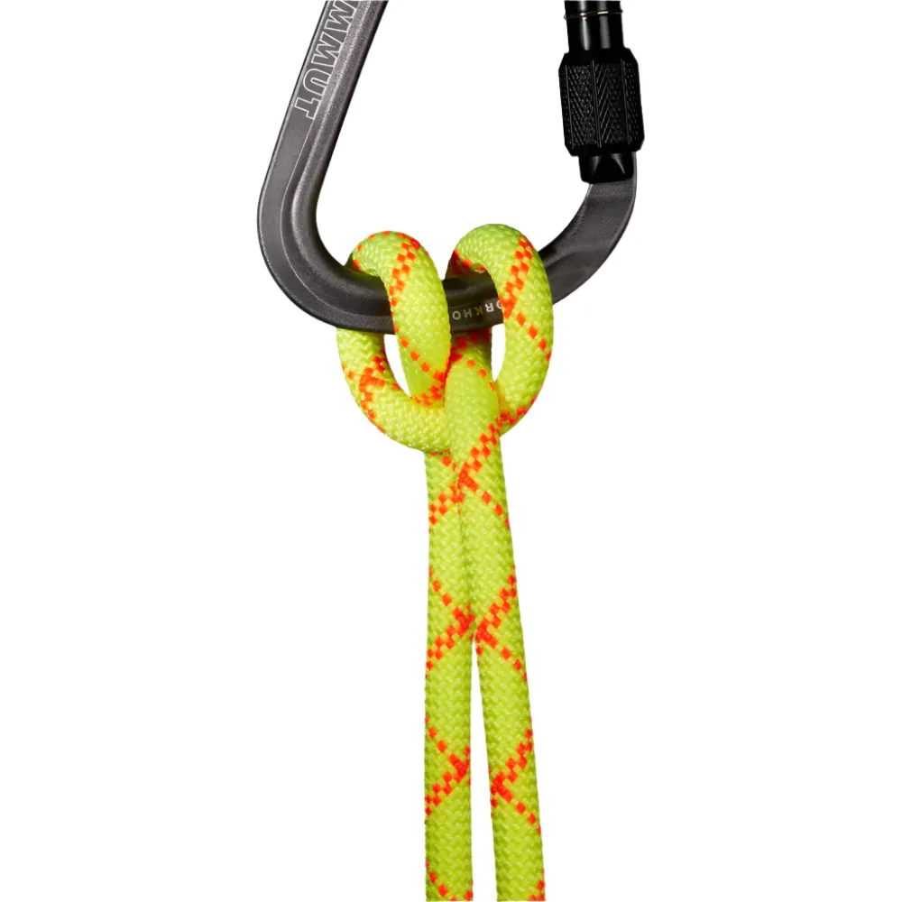9.5 mm Alpine Core Protect Dry Rope