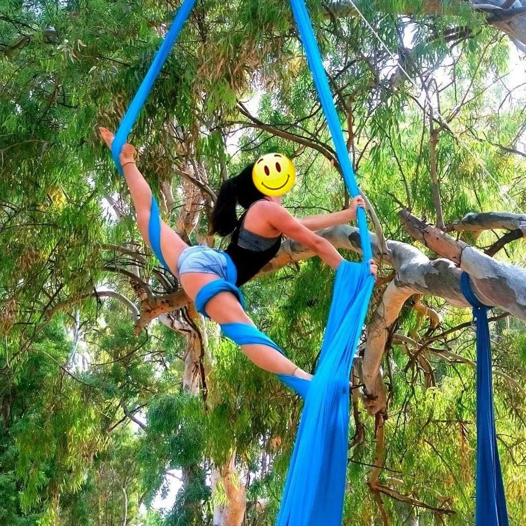 DASKING Aerial Silks Kit for Beginners & Pros - 10Yd Durable Fabric, Pro Safety Hardware & Easy Setup Guide - Yoga Hammock, Swing, Silk Rigging Kit
