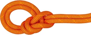Mammut, Crag Dry Rope - 9.8mm