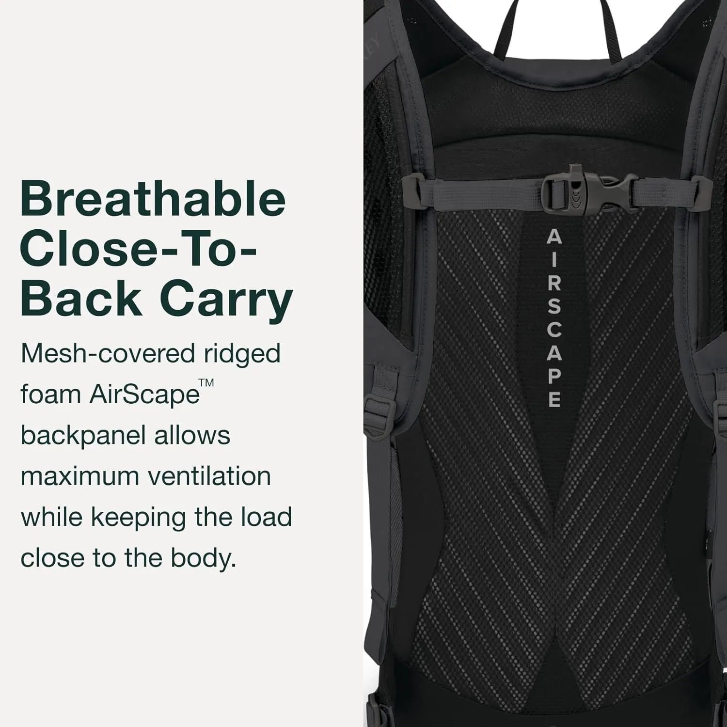 Osprey Sportlite 15L Unisex Hiking Backpack, Pine Leaf Green