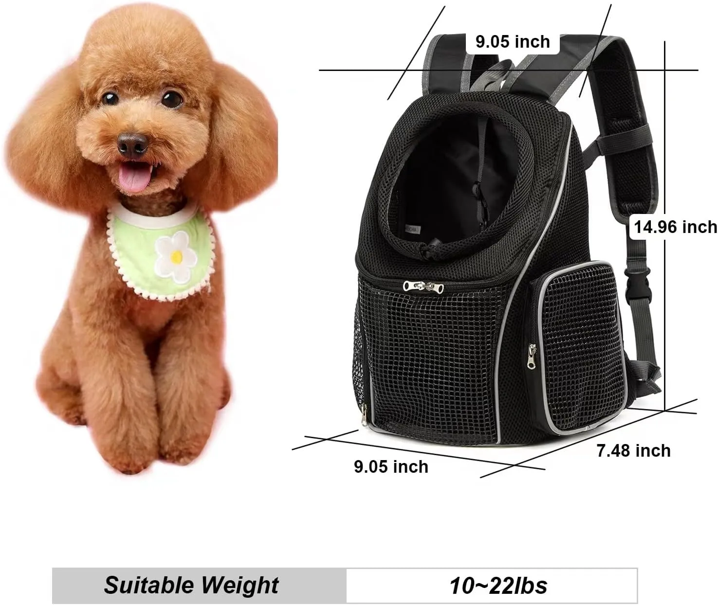 Pet Carrier Backpack with Mesh Ventilation Adjustable Straps Backpack (Black, Large)